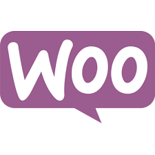 Wordpress Developer
