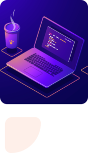 Expert Wix website developer